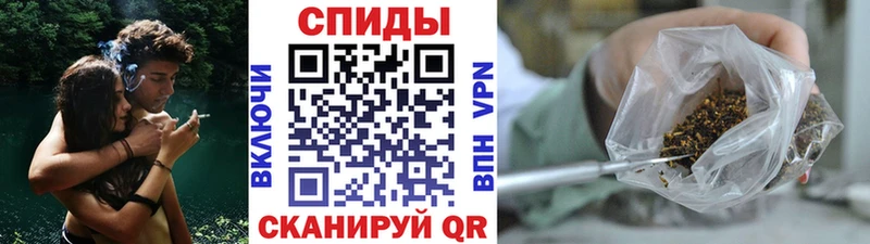 Купить где  Павлово  Бутират BDO 33% 