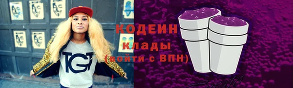 хмурый Заводоуковск