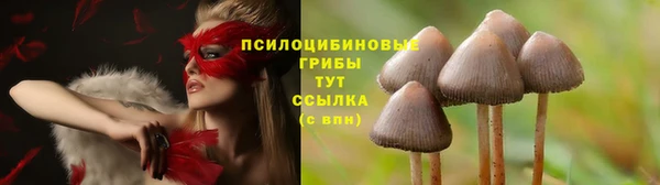 хмурый Заводоуковск