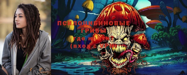 хмурый Заводоуковск