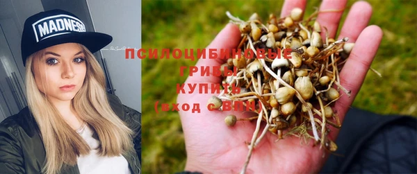бошки Заволжск