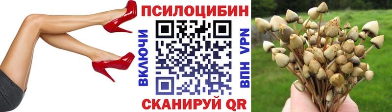 Псилоцибиновые грибы Psilocybine cubensis  Купить где  Павлово 